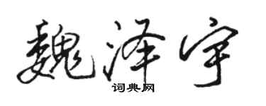 駱恆光魏澤宇行書個性簽名怎么寫