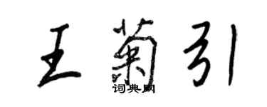 王正良王菊引行書個性簽名怎么寫