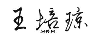 駱恆光王培瓊行書個性簽名怎么寫