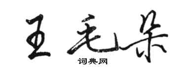 駱恆光王毛朵行書個性簽名怎么寫