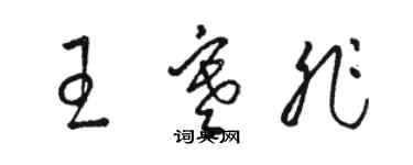 駱恆光王寒非草書個性簽名怎么寫