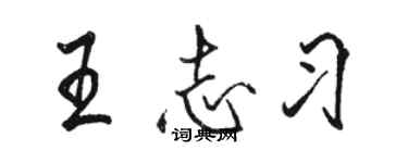 駱恆光王志習行書個性簽名怎么寫