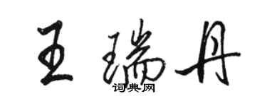 駱恆光王瑞丹行書個性簽名怎么寫
