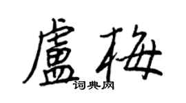 王正良盧梅行書個性簽名怎么寫