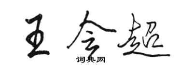 駱恆光王會超行書個性簽名怎么寫