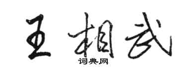 駱恆光王相武行書個性簽名怎么寫