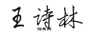 駱恆光王詩林行書個性簽名怎么寫
