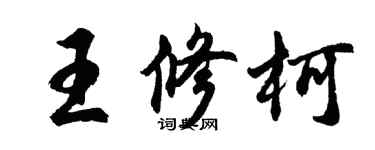 胡問遂王修柯行書個性簽名怎么寫