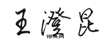 駱恆光王澄昆行書個性簽名怎么寫