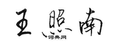 駱恆光王照南行書個性簽名怎么寫