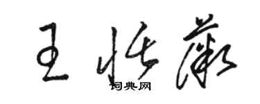 駱恆光王恬薇草書個性簽名怎么寫