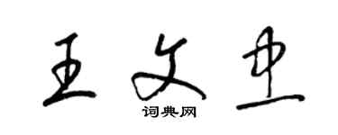 梁錦英王文忠草書個性簽名怎么寫