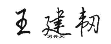 駱恆光王建韌行書個性簽名怎么寫