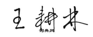 駱恆光王耕林草書個性簽名怎么寫