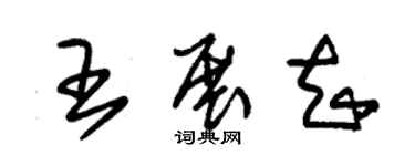 朱錫榮王展知草書個性簽名怎么寫