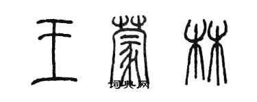 陳墨王蒙林篆書個性簽名怎么寫