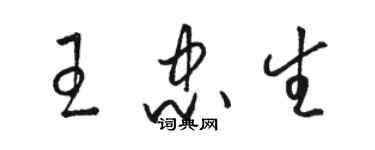 駱恆光王忠生草書個性簽名怎么寫