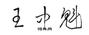 駱恆光王中魁草書個性簽名怎么寫