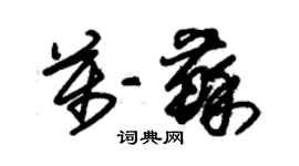 朱錫榮萬蘇草書個性簽名怎么寫