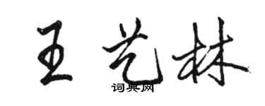 駱恆光王藝林行書個性簽名怎么寫