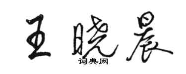 駱恆光王曉晨行書個性簽名怎么寫