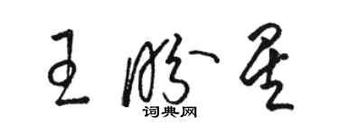 駱恆光王盼星草書個性簽名怎么寫