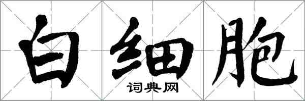 翁闓運白細胞楷書怎么寫