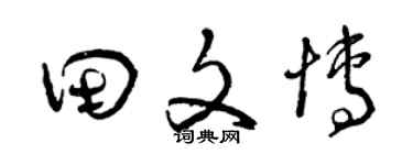 曾慶福田文博草書個性簽名怎么寫