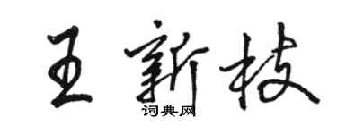 駱恆光王新枝行書個性簽名怎么寫