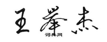 駱恆光王舉傑行書個性簽名怎么寫