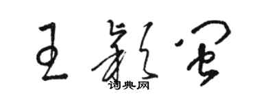 駱恆光王穎閩草書個性簽名怎么寫