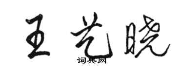 駱恆光王藝曉行書個性簽名怎么寫