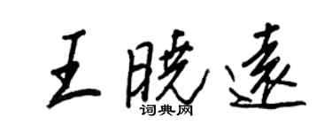 王正良王曉遠行書個性簽名怎么寫