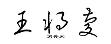 梁錦英王將慶草書個性簽名怎么寫