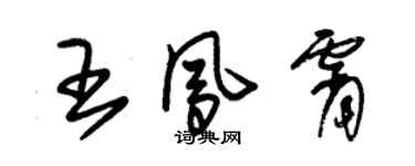 朱錫榮王鳳霄草書個性簽名怎么寫