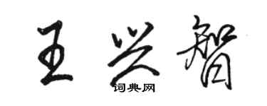 駱恆光王興智行書個性簽名怎么寫