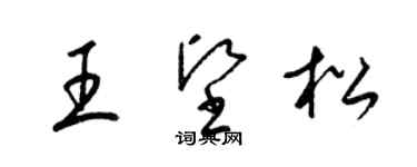 梁錦英王堅松草書個性簽名怎么寫