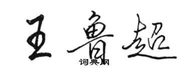 駱恆光王魯超行書個性簽名怎么寫