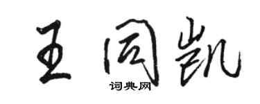 駱恆光王同凱行書個性簽名怎么寫