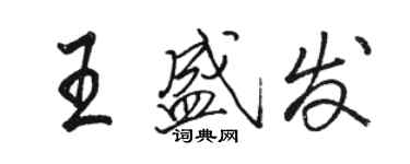 駱恆光王盛發行書個性簽名怎么寫