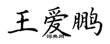 丁謙王愛鵬楷書個性簽名怎么寫