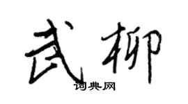 王正良武柳行書個性簽名怎么寫