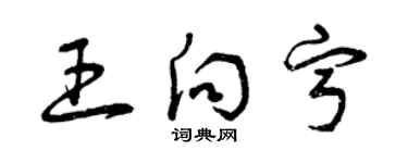 曾慶福王向寧草書個性簽名怎么寫