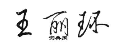 駱恆光王麗環行書個性簽名怎么寫