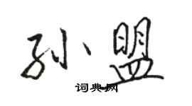 駱恆光孫盟行書個性簽名怎么寫