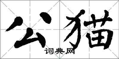 翁闓運公貓楷書怎么寫