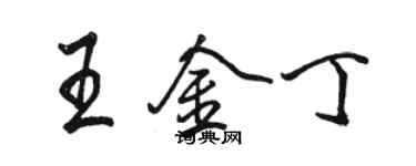 駱恆光王金丁行書個性簽名怎么寫