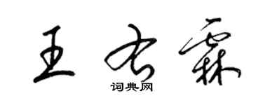 梁錦英王右霖草書個性簽名怎么寫