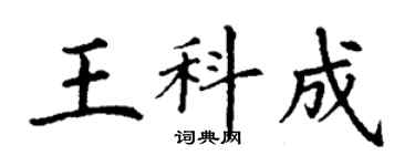 丁謙王科成楷書個性簽名怎么寫