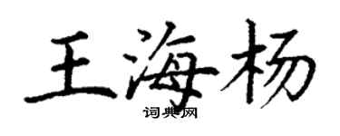 丁謙王海楊楷書個性簽名怎么寫